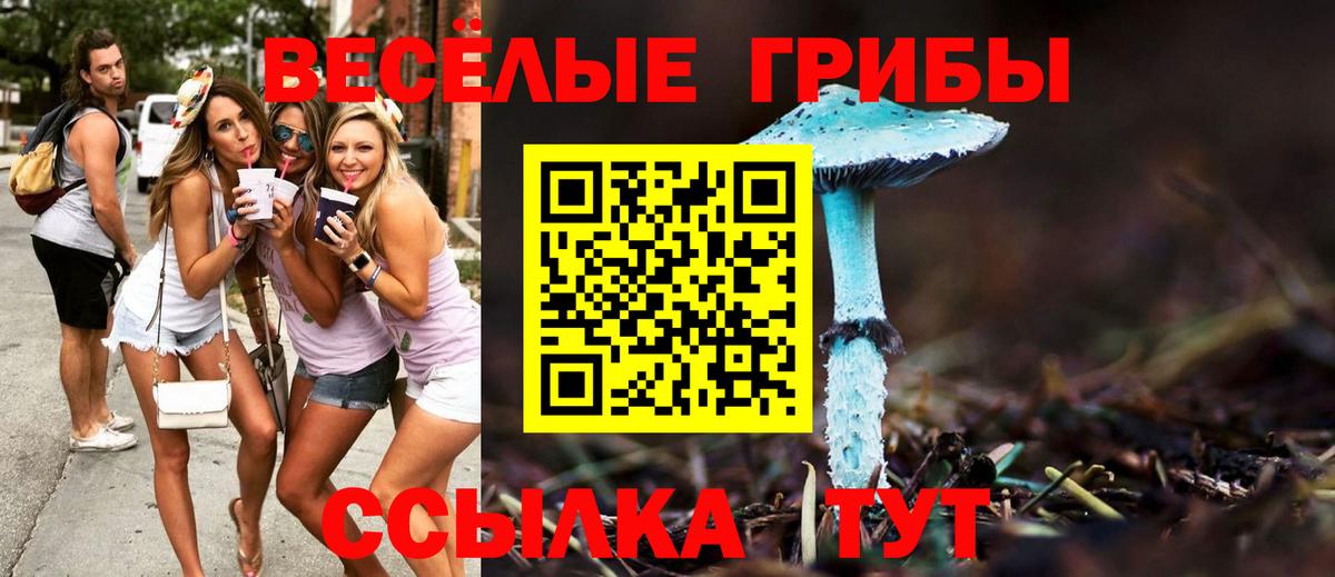 Где купить  Марихуана  Вход с VPN  ГАШ  Экстази  Кострома  Меф МЯУ МЯУ кристаллы  Гашиш 