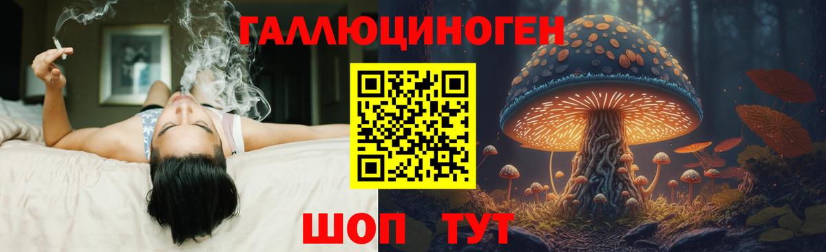 Галлюциногенные грибы GOLDEN TEACHER  Вход с VPN  Галлюциногенные грибы мицелий  Кострома 